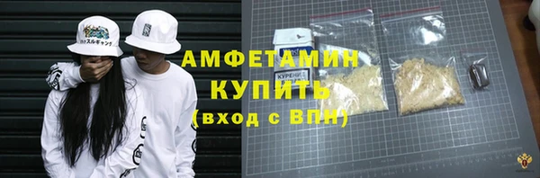 шишки Бородино